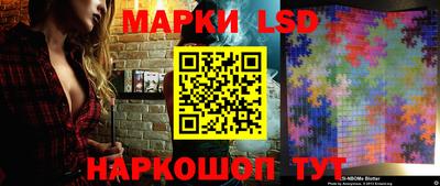 крисы Моздок