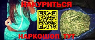 крисы Моздок