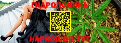 крисы Моздок