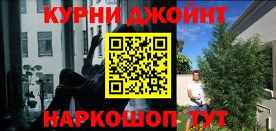 крисы Моздок