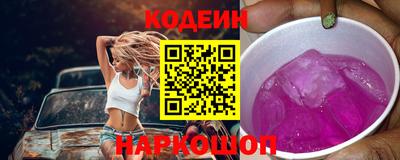 крисы Моздок